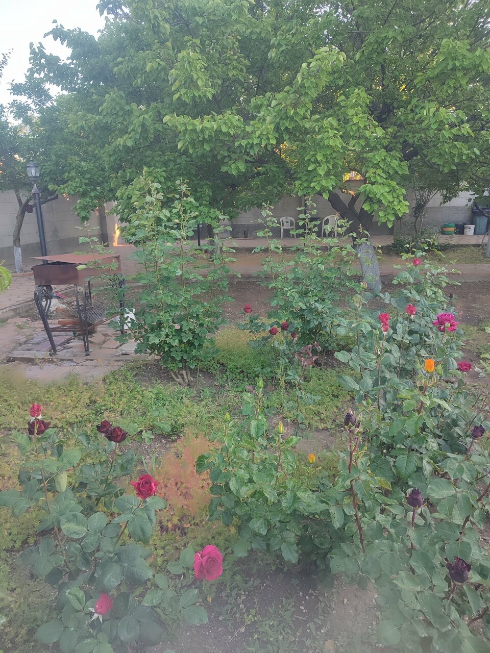 Гостиница Мер Бак Феодосия