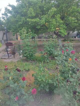 Гостиница Мер Бак Феодосия Семейный номер с балконом-8