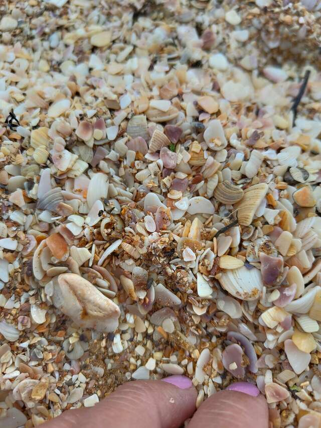 Гостиница Мер Бак Феодосия-46